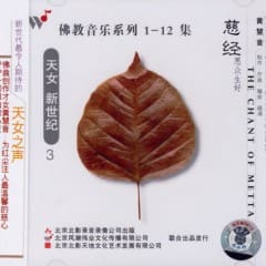 Nhạc Của Trái Tim Và Tâm Hồn Vol.3