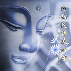Phật Trong Tâm Tôi - Amitabha In My Heart