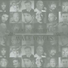 Best Audiophile Male Voices