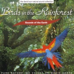Tiếng Chim Trong Rừng Nhiệt Đới - Birds In The Rainforest
