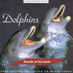 Tiếng Cá Heo - Dolphins