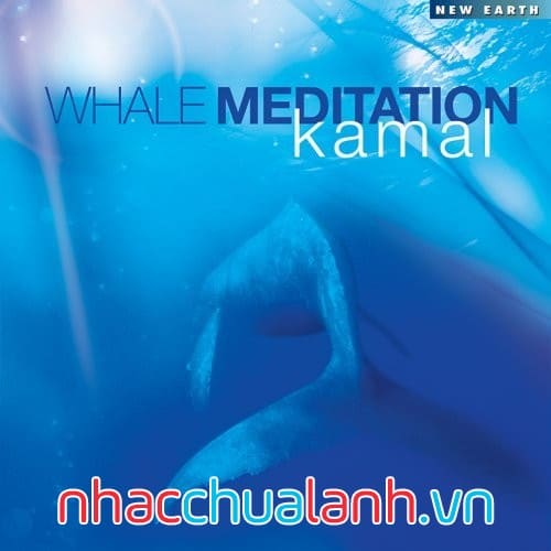 Album Thiền Cá Voi - Whale Meditation