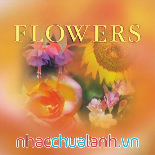 Album Những Bông Hoa - Flowers