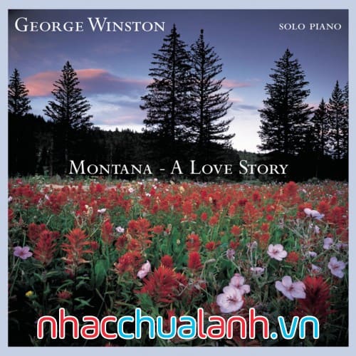 Album Một Câu Chuyện Tình - A Love Story