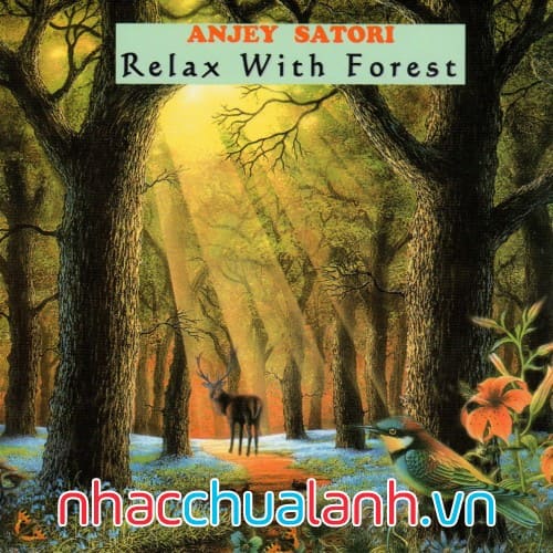 Album Thư Giãn Với Rừng - Relax With Forest