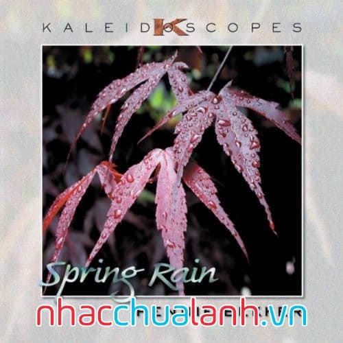 Album Mưa Xuân - Spring Rain