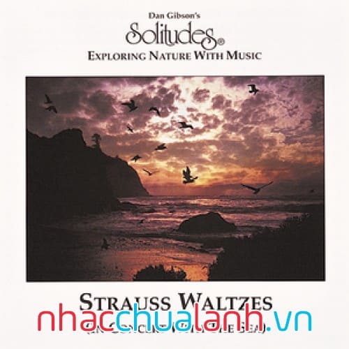 Album Solitudes Strauss Waltzes