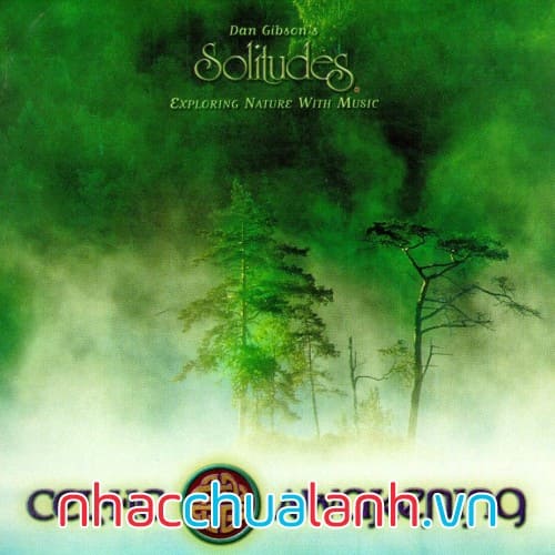 Album Celtic Thức Tỉnh - Celtic Awakening