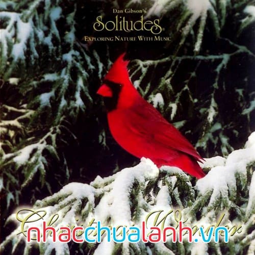 Album Kỳ Quan Giáng Sinh - Christmas Wonder