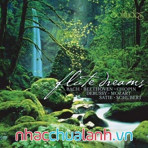 Album Giấc Mơ Sáo - Flute Dreams