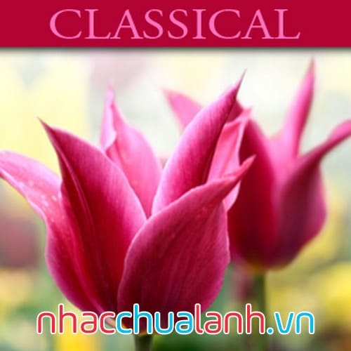 Album Cổ Điển - Classical