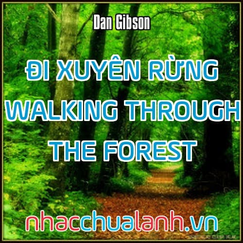 Album Đi Xuyên Rừng - Walking Through The Forest