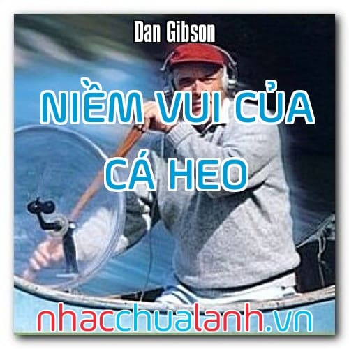 Album Niềm Vui Của Cá Heo - Dolphin’s Delight