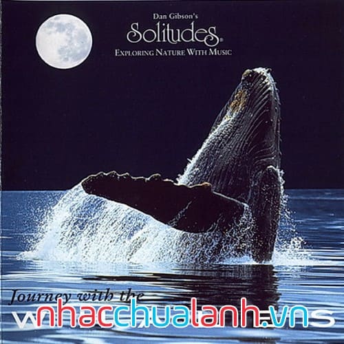 Album Hành Trình Cùng Cá Voi - Journey With The Whales