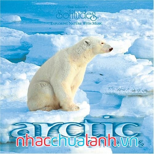Album Tiếng Vang Bắc Cực - Arctic Echoes