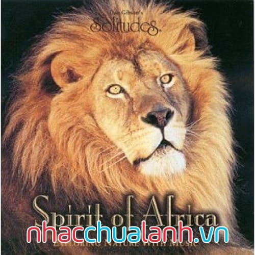 Album Tinh Thần Của Châu Phi - Spirit Of Africa