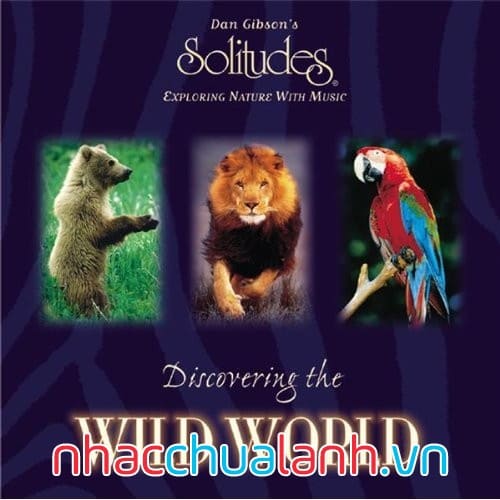 Album Khám Phá Thế Giới Hoang Dã - Discovering The Wild World