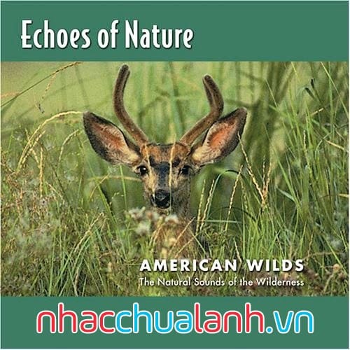 Album Hoang Dã Nước Mỹ - American Wilds