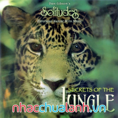 Album Bí Mật Của Rừng Rậm - Secrets Of The Jungle