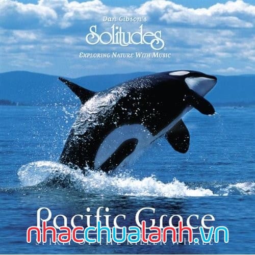 Album Ân Sủng Thái Bình Dương - Pacific Grace