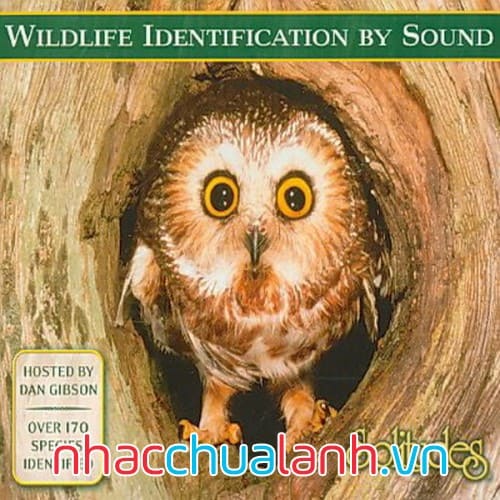 Album Đông Bắc Mỹ - Eastern North America Vol.1