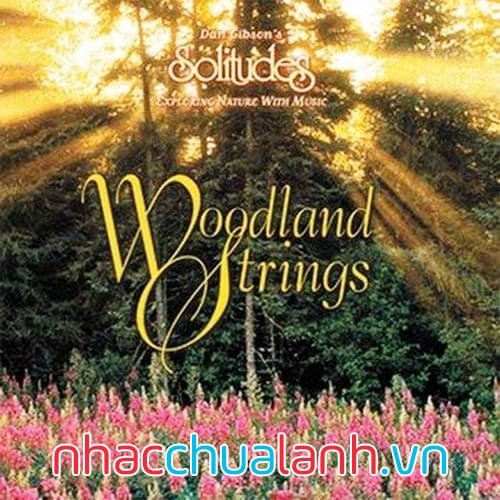 Album Dây Rừng - Woodland Strings
