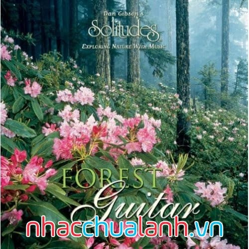 Album Bản Ghi Ta Của Rừng - Forest Guitar
