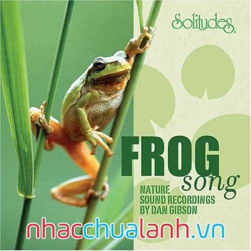 Album Bài Hát Ếch - Frog Song