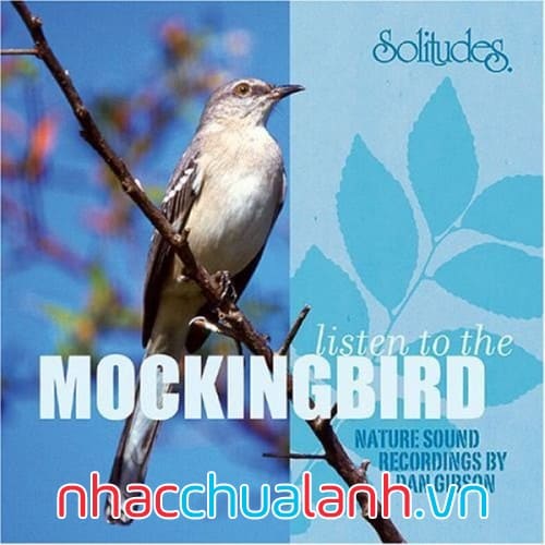 Album Nghe Con Chim Nhại - Listen To The Mockingbird