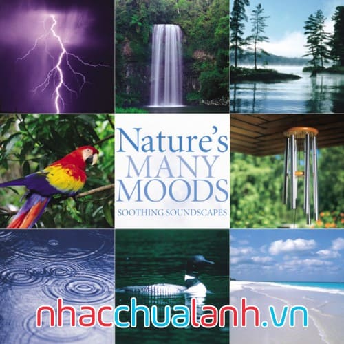 Album Thiên Nhiên Nhiều Cảm Xúc - Nature’s Many Moods