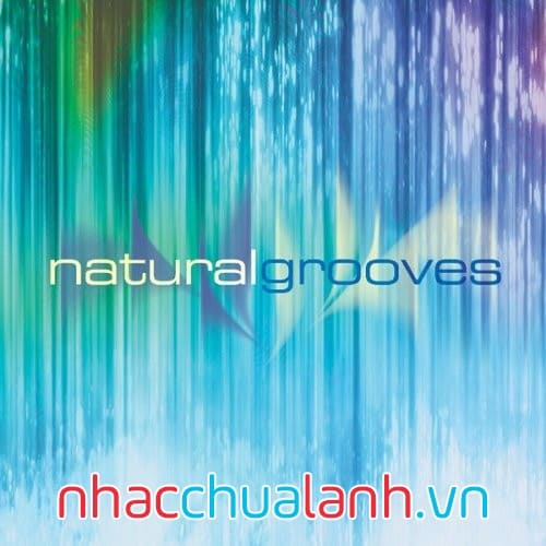 Album Rãnh Tự Nhiên - Natural Grooves
