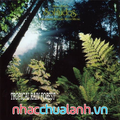 Album Rừng Mưa Nhiệt Đới - Tropical Rain Forest