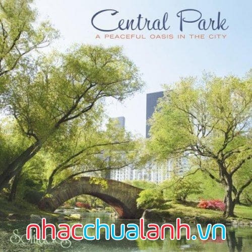 Album Một Ốc Đảo Yên Bình Trong Thành Phố - A Peaceful Oasis In The City