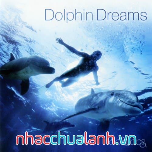 Album Giấc Mơ Cá Heo - Dolphin Dreams