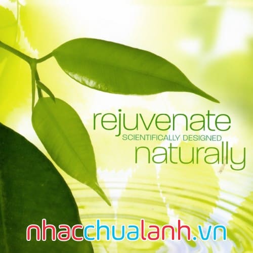 Album Trẻ Hóa Tự Nhiên - Rejuvenate Naturally