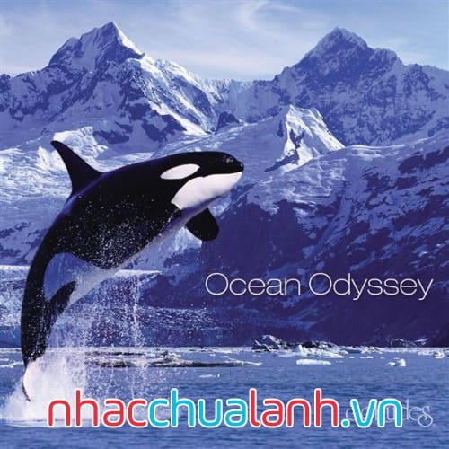 Album Đại Dương Odyssey - Ocean Odyssey
