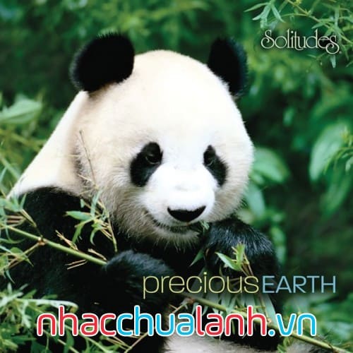 Album Trái Đất Đáng Quý - Precious Earth