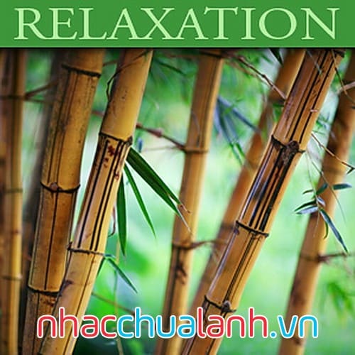 Album Thư Giãn - Relaxation