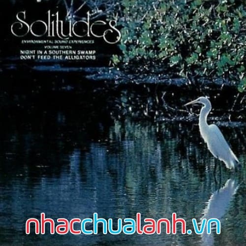 Album Âm Thanh Tự Nhiên - Solitudes Vol.7