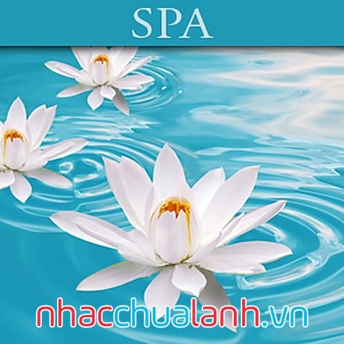 Album Liệu Pháp Thư Giãn - Spa