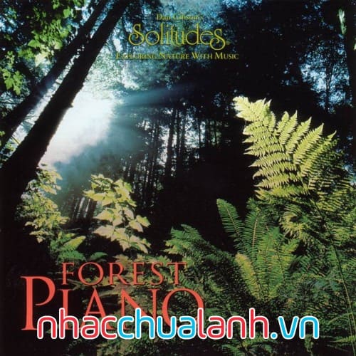 Album Dương Cầm Rừng - Forest Piano