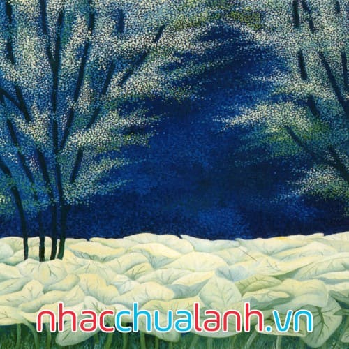 Album Chuyến Đi Kỳ Diệu - Magical Voyage