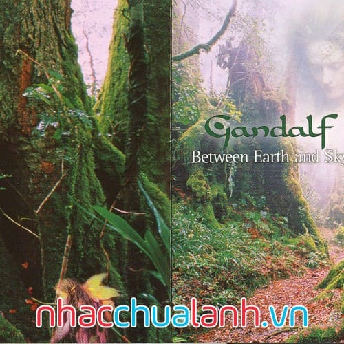 Album Giữa Đất Và Trời - Between Earth And Sky