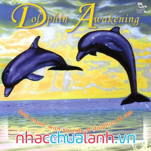Album Đánh Thức Cá Heo - Dolphin Awakening