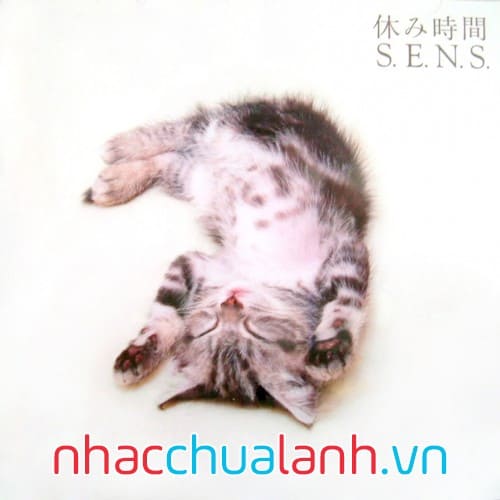 Album Kì Nghỉ - Yasumijikan