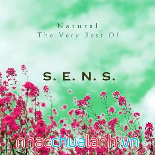 Album Những Bài Tuyệt Vời Nhất - The Very Best Of S.e.n.s Vol.2