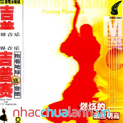 Album Flamenco Rực Lửa - Flaming Flamenco