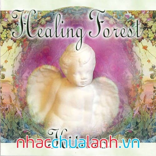 Album Rừng Chữa Lành - Healing Forest
