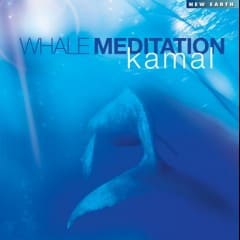Thiền Cá Voi - Whale Meditation