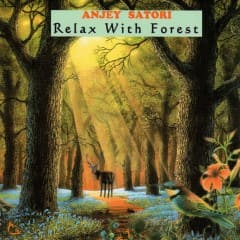 Thư Giãn Với Rừng - Relax With Forest